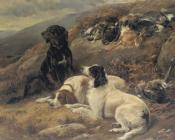 Setters with the Mornings Bag - 海伍德·哈代